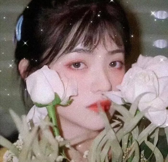 新扎师妹